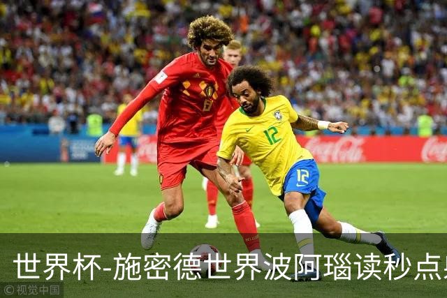 世界杯-施密德世界波阿瑙读秒点射破门 奥地利3-1约旦
